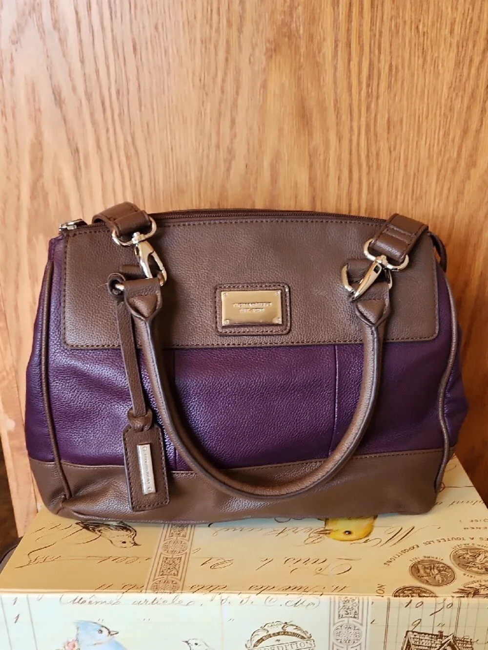Tignanello Brown and Plum Two-Tone Leather Satchel
